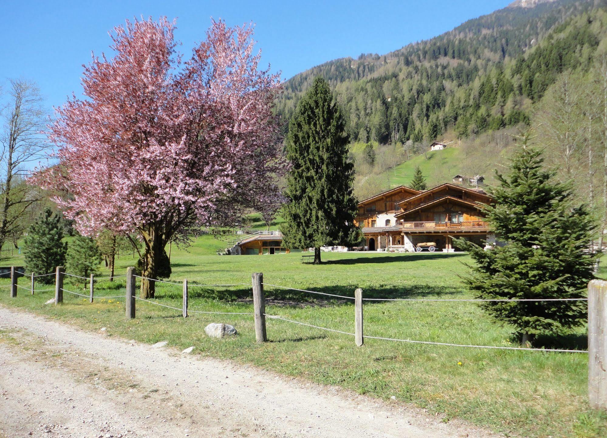 Hotel Maso del Brenta Caderzone Esterno foto