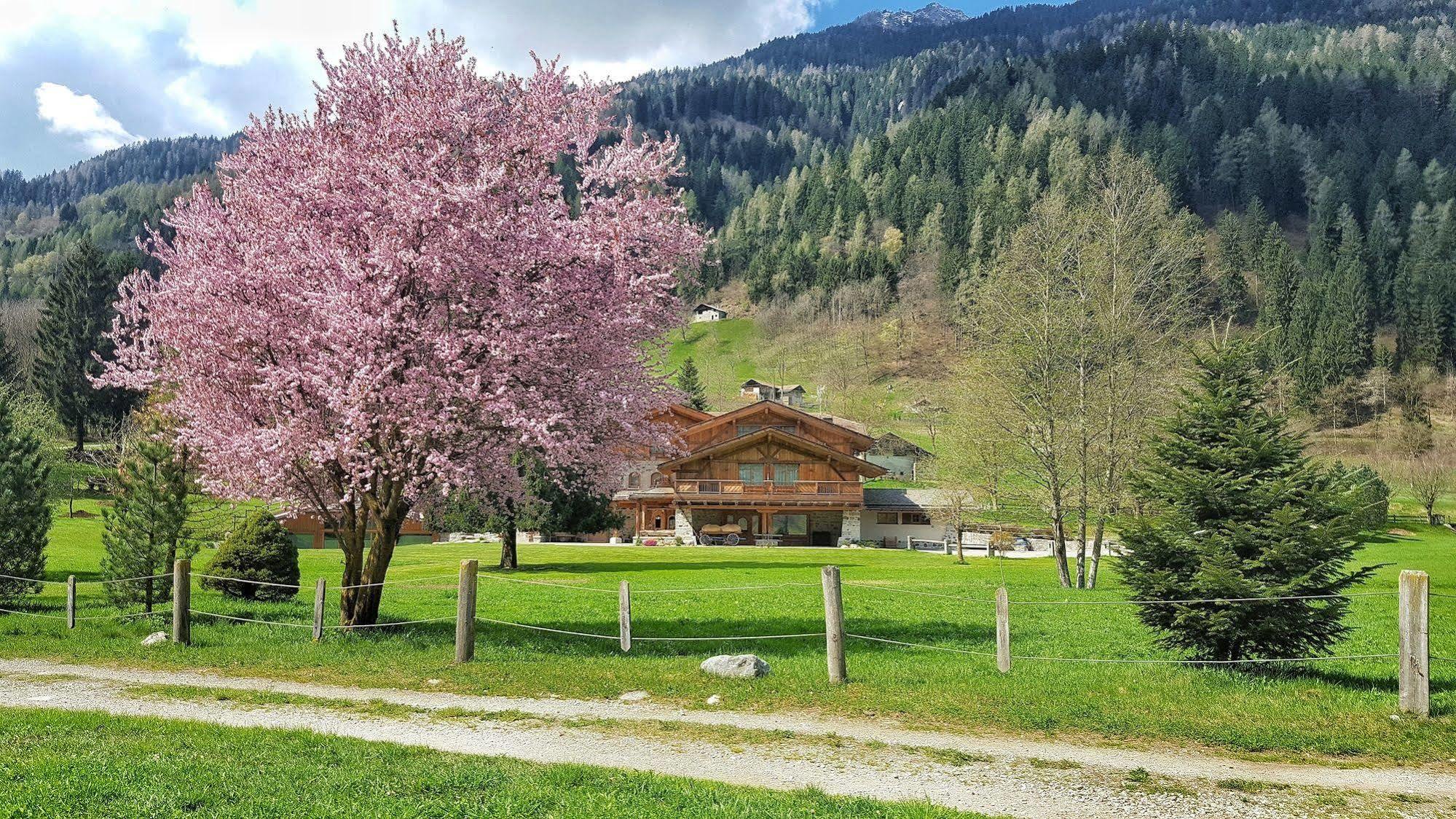 Hotel Maso del Brenta Caderzone Esterno foto